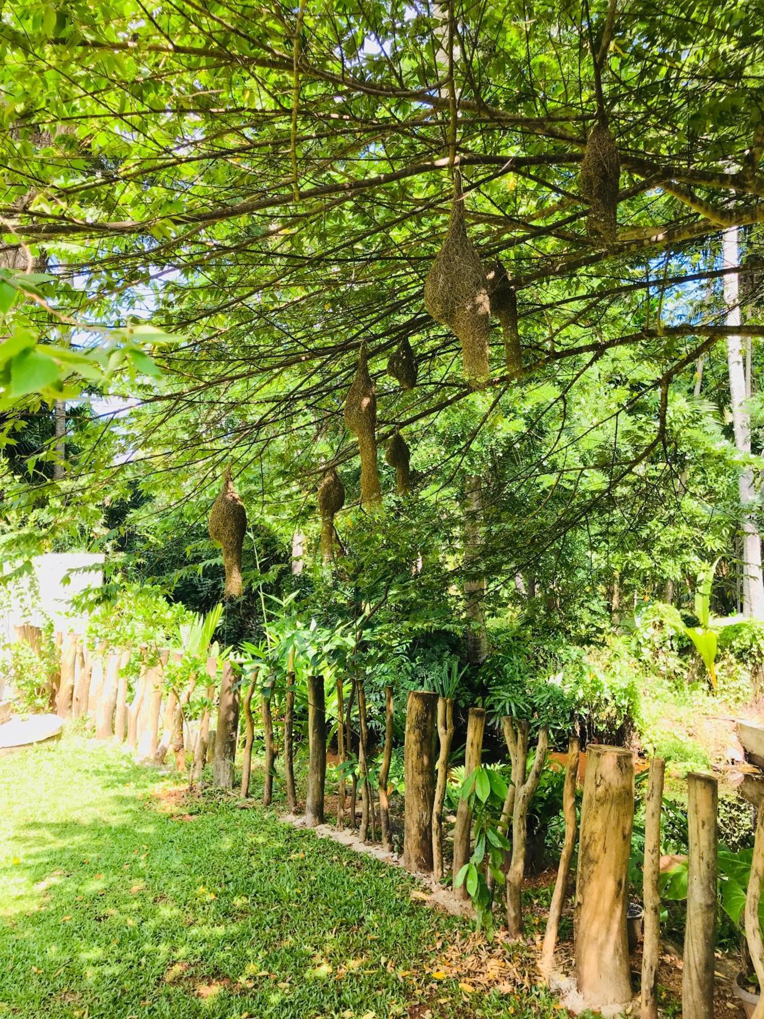 Ruwinsons Canal Garden Anuradhapura Ngoại thất bức ảnh